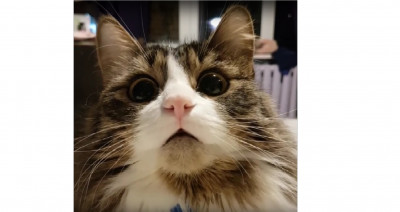 murlock.jpg (234.15 КБ) 12356 просмотров Можно