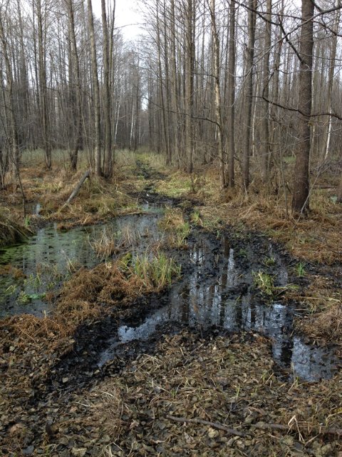 старая дорога